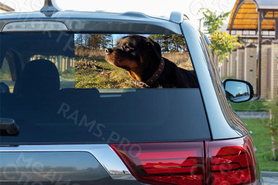 Наклейки на автомобиль «Собака» — фото