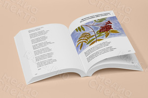 Сборник стихов автора Соболева В.Е. «Остановись, присядь, подумай...» — фото 4