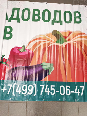 Баннер на рекламный щит 5,9х2м «SagroГербера» — фото 4