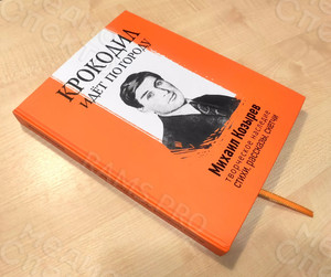 Книга «Крокодил идет по городу» — фото 1