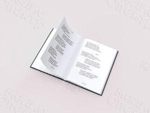 Книга стихов «Внутри сердца» — фото 3