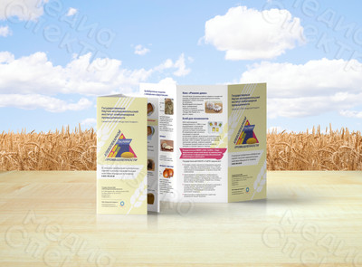 Евробуклет «Гос.НИИ: сорта хлеба» 2016г — фото