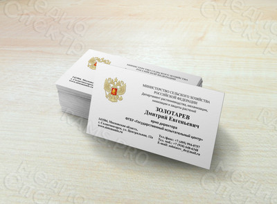 Визитка «Золотарев» — фото
