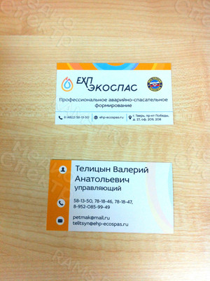 Визитка для управляющего компанией «ЕХП-ЭКОСПАС» — фото 3