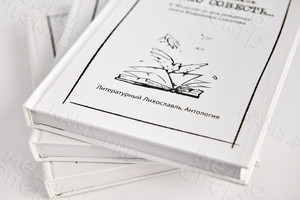 Книга «Нет школ никаких. ТОЛЬКО СОВЕСТЬ...» — фото 3