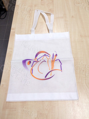 Сумка из нетканого материала 46х38см с логотипом «Пленэр на Академичке» — фото 1