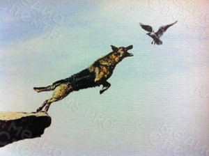 Фотокартина на холсте 30х30см «Овчарка и птица» — фото 3