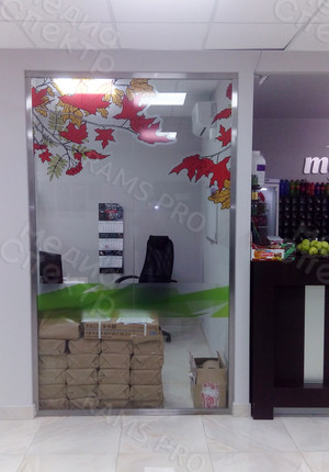 Наклейки в фитнес-клубе My Fit м/р Южный «Осенние листья 2018» — фото 6