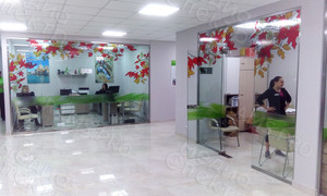 Наклейки в фитнес-клубе My Fit м/р Южный «Осенние листья 2018» — фото 2