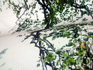 Фотокартина на холсте 50х80см «Молодожены в березовой роще» — фото 8