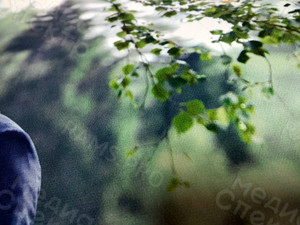 Фотокартина на холсте 50х80см «Молодожены в березовой роще» — фото 9