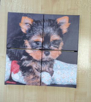 Модульная картина на холсте 40х40см «Собака с шаром» — фото 2