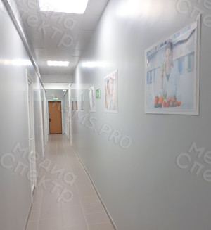 Постеры А2 (420х594мм) на стены для МЦ ЗОЖ «Норма» — фото 3