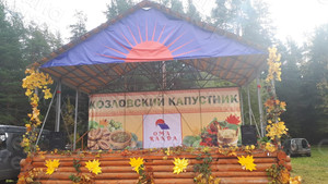 Баннер-задник для сцены 8х3м «Козловский капустник» — фото 2