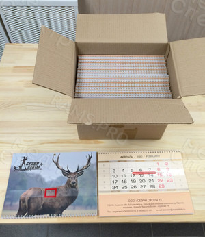 Календарь А4 настенный квартальный 2020 база отдыха — фото 5