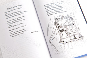 Книга лирики-сборник стихотворений Любови Гордеевой «Уроки птицы» — фото 10