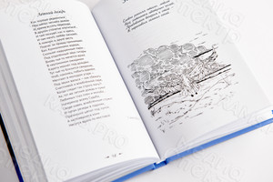 Книга лирики-сборник стихотворений Любови Гордеевой «Уроки птицы» — фото 12