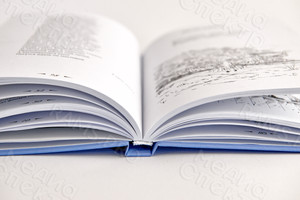 Книга лирики-сборник стихотворений Любови Гордеевой «Уроки птицы» — фото 13