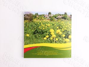 Книга-альбом «Далёкое-близкое. Родное» — фото 2