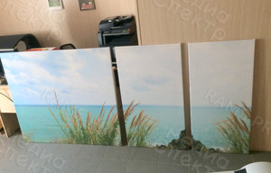 Модульные картины на холсте 3шт. «Камыш и море» — фото 1