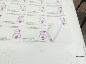 Наклейки на упаковки с продукцией СПК «ВАЛДАЙ» — фото 5