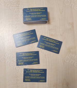 Визитки для сотрудников «Металлосервисный холдинг» 2020 — фото 10