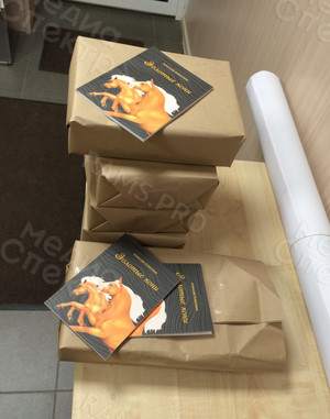 Книга сборник стихов «Золотые кони», мягкая обложка, формат А5 — фото 8