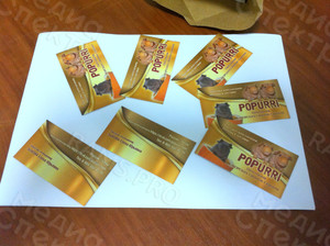 Визитки 90х50мм для питомника морских свинок — фото 3