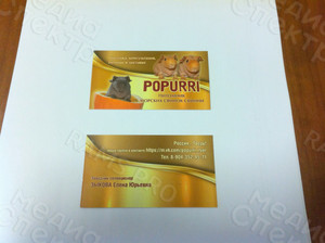 Визитки 90х50мм для питомника морских свинок — фото 1