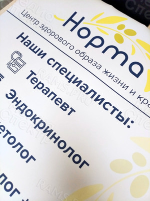 Постер 77х149см для медицинского центра ЗОЖ «Норма» — фото 5
