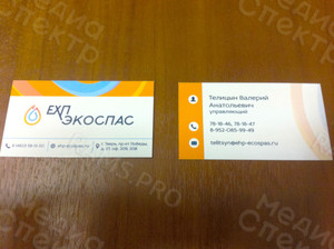 Визитки для сотрудников компании «ЕХП-ЭКОПАС» — фото 1