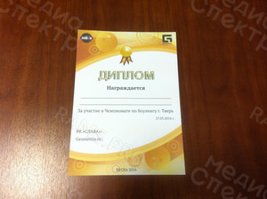 Диплом А4 «Боулинг весна 2016» — фото 2