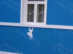 Трафареты-наклейки фигурные «КОШКИ» для нанесения рисунков краской на фасад дома — фото 7