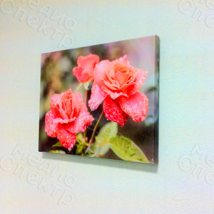 Фотокартины на холстах 40х30см «Цветы красные розы» — фото 1