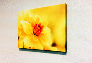 Фотокартины на холстах 40х30см «Цветы желтые» — фото 1