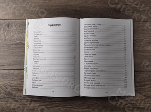 Книга стихов для детей «Утята-невидимки» формат А4, твердая обложка — фото 9