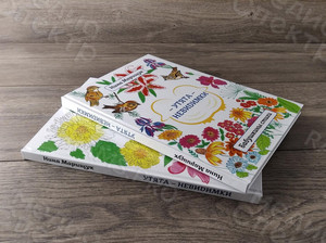 Книга стихов для детей «Утята-невидимки» формат А4, твердая обложка — фото 1