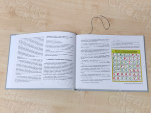 Книга-семейная летопись «И калинка, и малинка». Генограмма семейного древа — фото 5