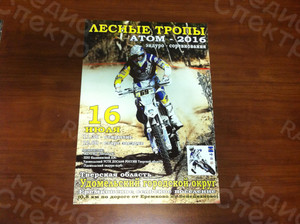 Афиши А3 «Лесные тропы» — фото 1