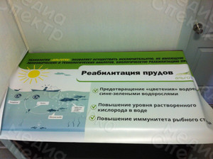 Баннер «Альготек: Реабилитация прудов» — фото 1