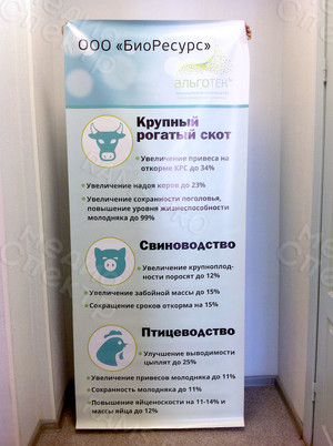 Roll up баннер 85х200см «БиоРесурс» — фото 1