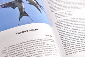 Книга А5 «Березянские просторы» авторский сборник прозы и стихов — фото 11