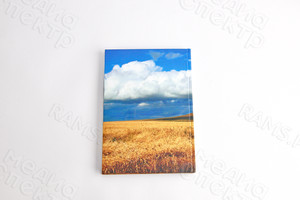 Книга А5 «Березянские просторы» авторский сборник прозы и стихов — фото 6