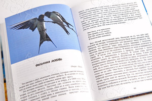 Книга А5 «Березянские просторы» авторский сборник прозы и стихов — фото 10