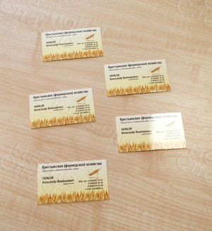 Визитки «Крестьянское (фермерское) хозяйство» — фото 5