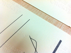 Пригласительный на выпускной «Стоматологический факультет ТГМУ 2017г.» — фото 7